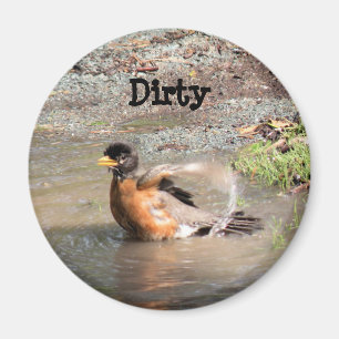 Magnet, Dishwasher, Robin taking a Bath, Dirty Magnet