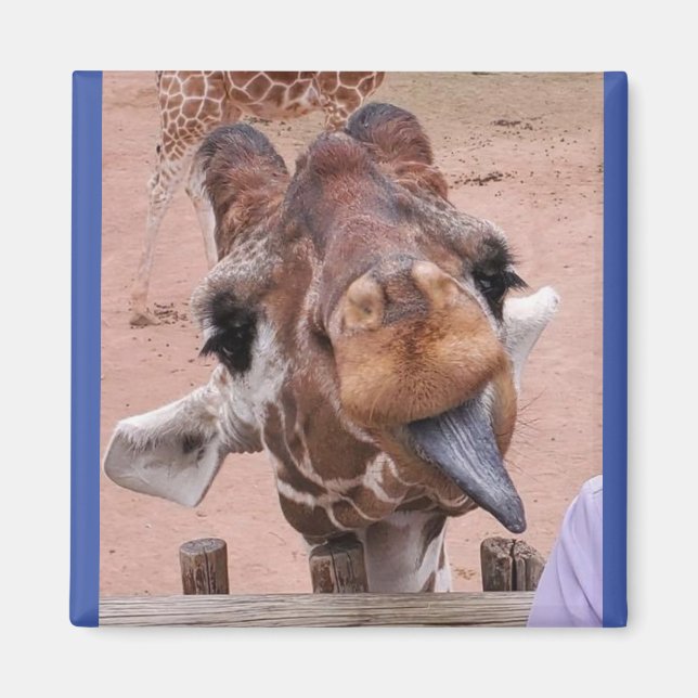 Magnet Diva #1 (Devant)