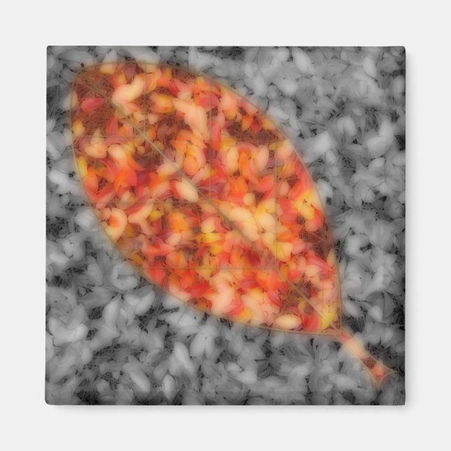 Magnet d'ombres lumineuses (Devant)