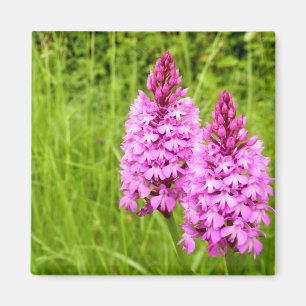 Magnet d'orchidée pyramidal