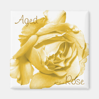 Magnet du Carré Rose âgé