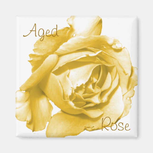 Magnet du Carré Rose âgé (Devant)