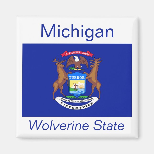 Magnet du drapeau du Michigan (Devant)