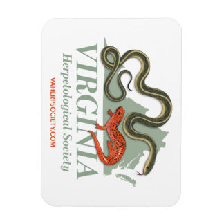 Magnet du logo VHS