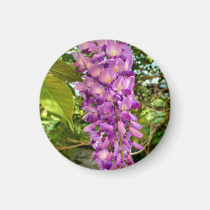 Magnet en fleur de bactéries