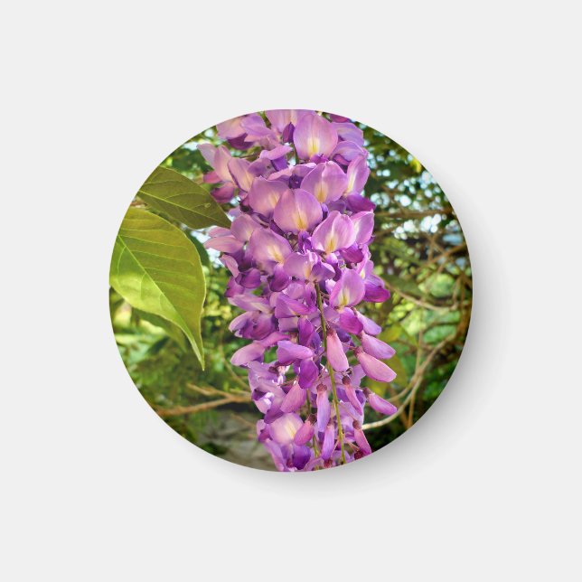 Magnet en fleur de bactéries (Devant)
