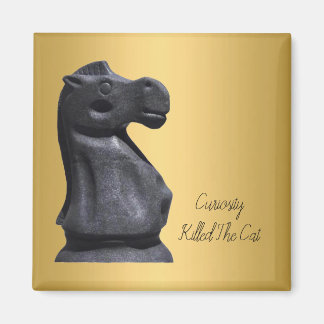 Magnet Expression "Curiosity Killed the Cat"