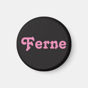 Magnet Ferne