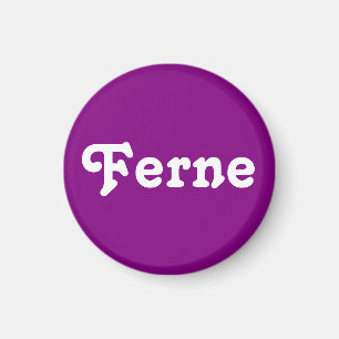 Magnet Ferne