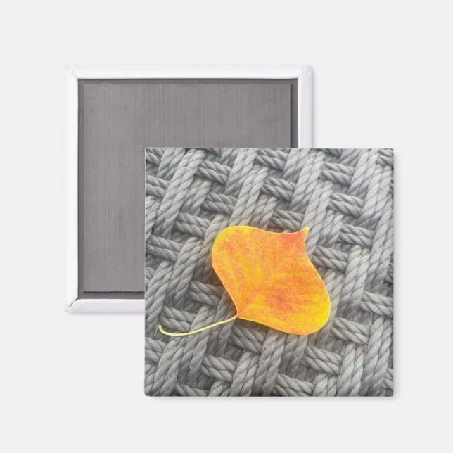 Magnet feuille (Recto/Verso)