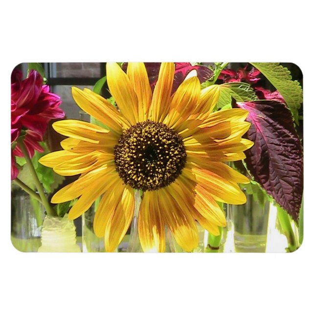 Magnet Flexi Premium de tournesol (Horizontal)