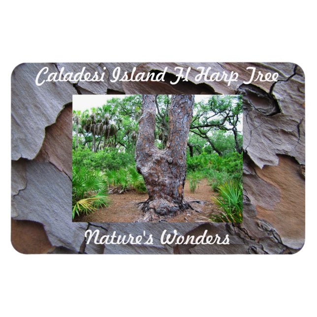 Magnet Flexi Premium Fl Harpe Island de Caladesi (Horizontal)