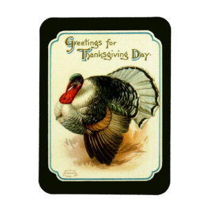 Magnet Flexi vintage Turquie Premium
