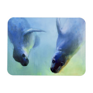 Magnet Flexible 2003 tout aussi fascinant