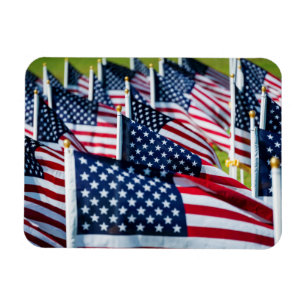 Magnet Flexible 400 drapeaux flottant fièrement dans un champ