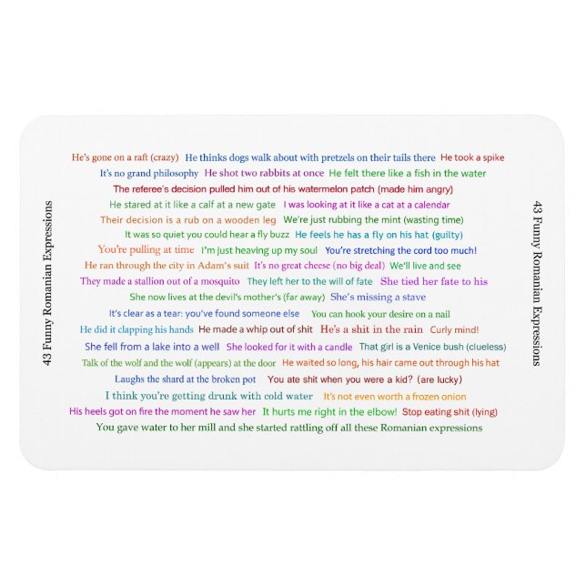 Magnet Flexible 43 Drôle Pièce de conversation pour les expression (Horizontal)