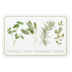 Magnet Flexible 4 HERBES FRAÎCHES 4x6 Aimant flexible