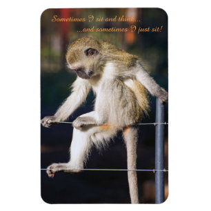 Magnet Flexible 4 x 6 Aimant frigo avec Singe et Slogan