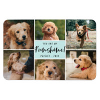 6 Photo Collage Vous Êtes Ma Funshine | Aqua Pet