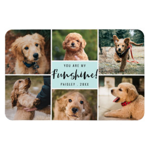 Magnet Flexible 6 Photo Collage Vous Êtes Ma Funshine   Aqua Pet