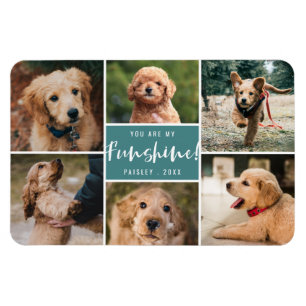 Magnet Flexible 6 Photo Collage You Are My Funshine   Teal Pet