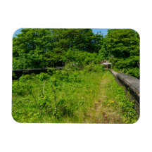 Abandoned Whitacre Mill Viaduct, Huddersfield