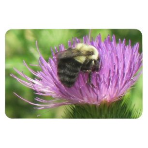 Magnet Flexible Abeille et chardon