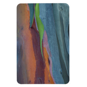 Magnet Flexible Abstract de Rainbow Gum Tree