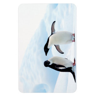 Magnet Flexible Adelie Penguins