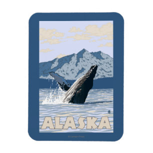 Magnet Flexible Affiche de Vintage voyage de baleine