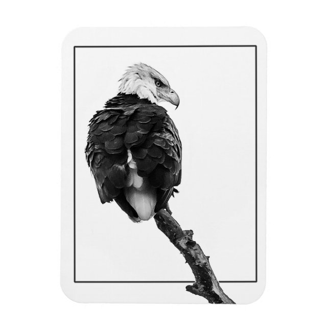 Magnet Flexible Aigle à tête blanche (Vertical)