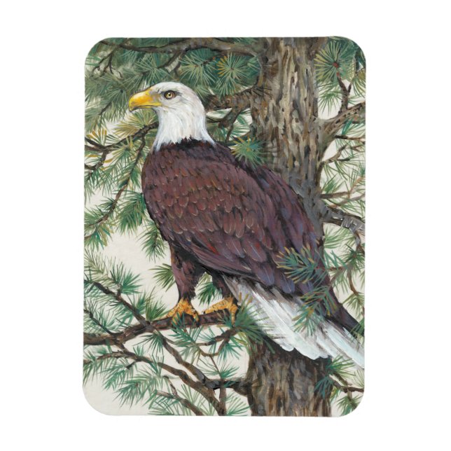 Magnet Flexible Aigle à tête blanche (Vertical)