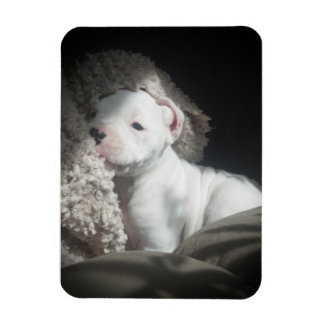 Magnet Flexible aimant à chiot