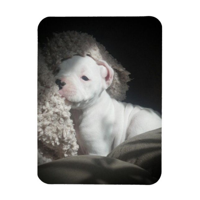 Magnet Flexible aimant à chiot (Vertical)