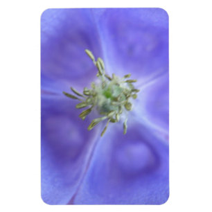 Magnet Flexible Aimant à fleurs d'Aquilegia
