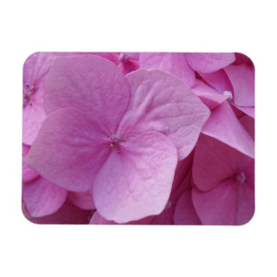 Magnet Flexible Aimant à fleurs d'Hydrangea rose 3 pouces x 4 pouc