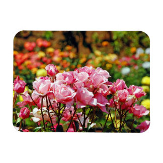 Magnet Flexible Aimant à imprimer avec des roses roses