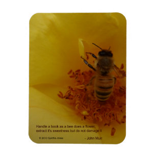 Magnet Flexible Aimant d'abeille