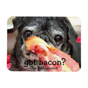 Magnet Flexible Aimant de Bumblesnot : lard obtenu ?