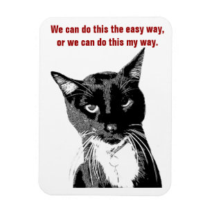 Magnet Flexible Aimant de chat amusant
