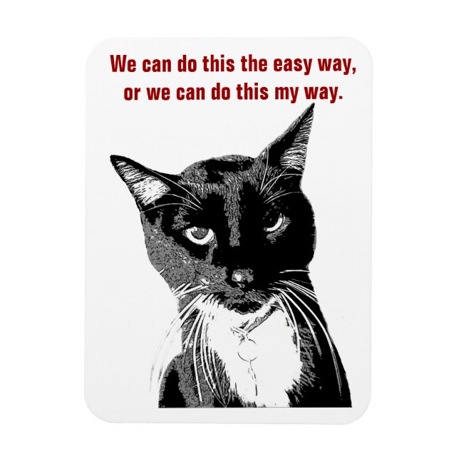 Magnet Flexible Aimant de chat amusant (Vertical)