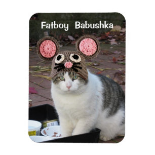 MAGNET FLEXIBLE AIMANT DE FATBOY