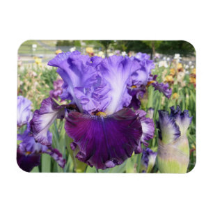 Magnet Flexible AIMANT de FLEUR d'IRIS horizontal
