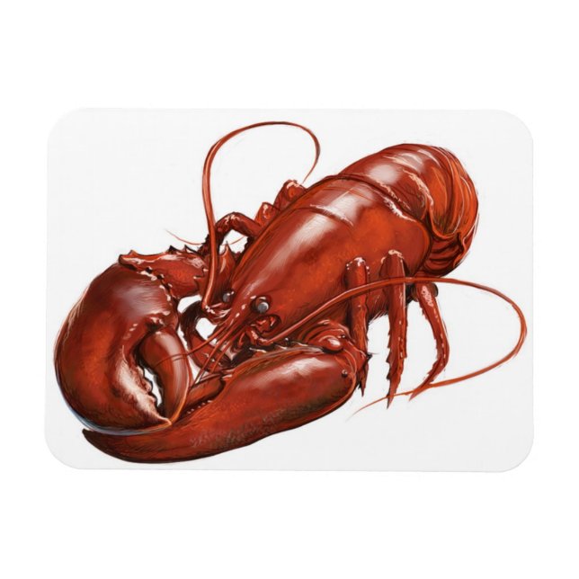 Magnet Flexible Aimant de homard (Horizontal)