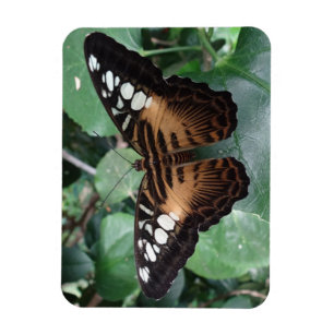 Magnet Flexible Aimant de papillon