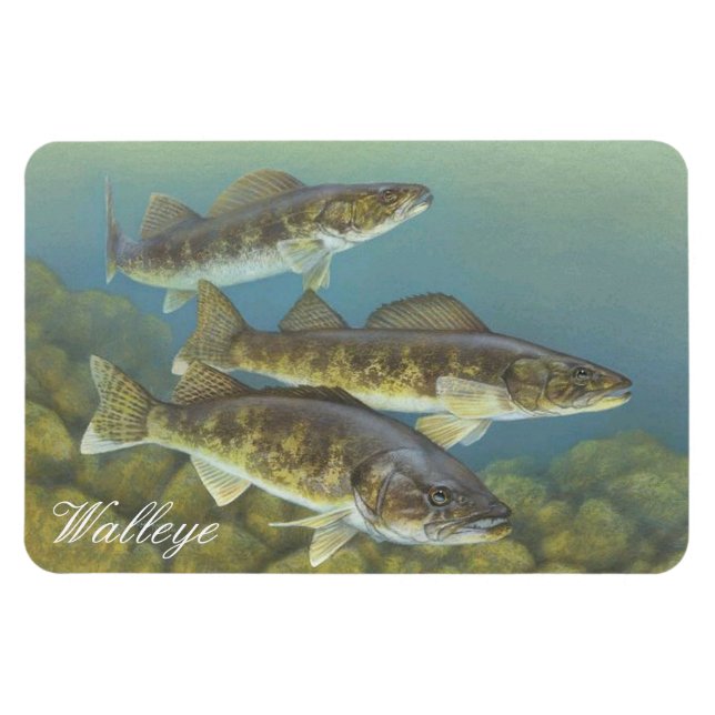 Magnet Flexible Aimant de peinture à la feuille (Horizontal)