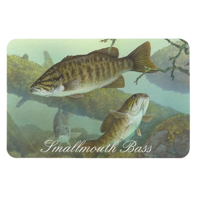 Magnet Flexible Aimant de peinture basse de petite bouche (Horizontal)