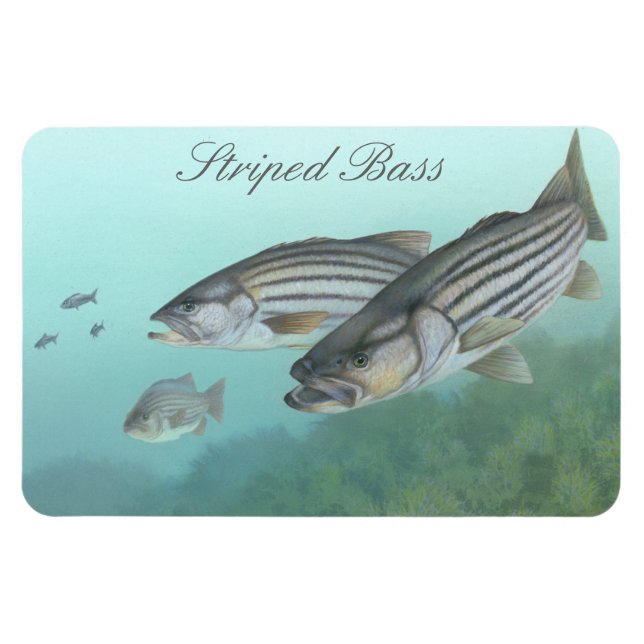 Magnet Flexible Aimant de peinture de basse rayé (Horizontal)