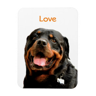 Magnet Flexible Aimant de photo de rottweiler