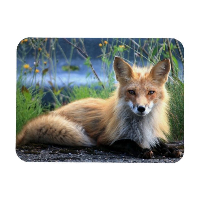 Magnet Flexible Aimant de récupération de Red Fox (Horizontal)